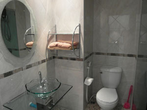 Designer Bathroom